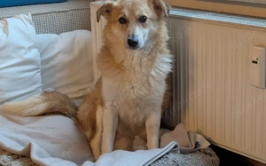 Unsere liebe Titos sucht ihr Glück