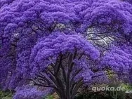 Wellnessmassage für die Frau