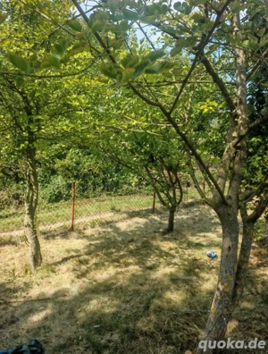 2 Pachtgärten Pachtgarten Schrebergarten 