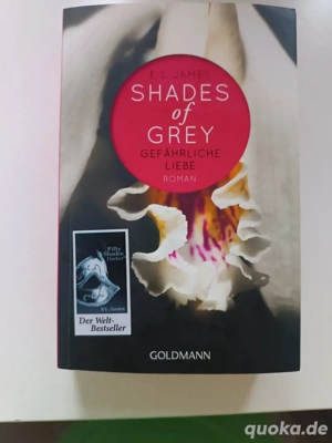 Buch Shades of grey Gefährliche Liebe 