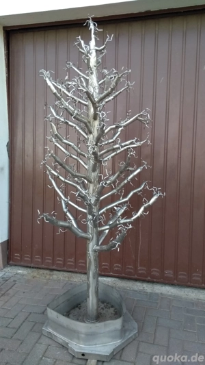 1 Zimmerwohnung gesucht  - Springbrunnen  geschenkt  bei