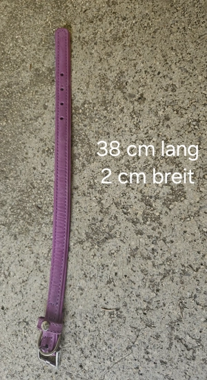 Hunde Halsband von das Lederband 