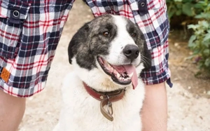 verschmuste CHARLINE wünscht sich eine Familie