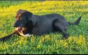 Verliebst du dich in Rajani?