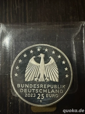 25  Münze 999 Silber