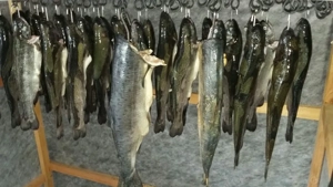 Biete alles Mögliche   Bild 9