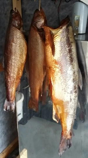 Biete alles Mögliche   Bild 10