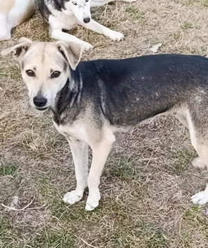 Svenja - bist du ihr Mensch?
