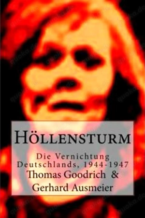 Toni Haberschuss: Das Deutschland Protokoll 3 (vergriff.ORIGINAL) Bild 3