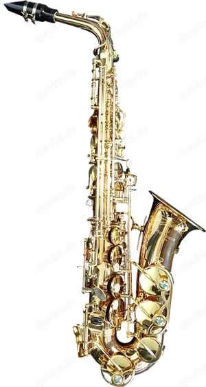 Musiker in Lahnstein gesucht