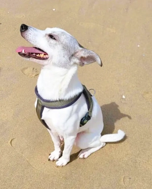 Lia   süße Maus wartet in PLZ 66127 auf Besuch