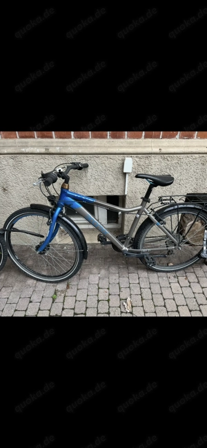 boomer limit 21 ,26 zoll blau,21 Gänge