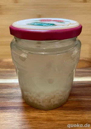 Wasserkefirknollen zu verschenken