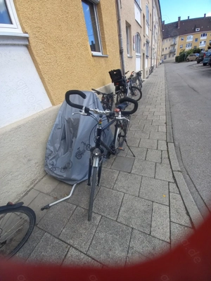 Trekkingbike Stevens Primera für großen Fahrer Bild 3