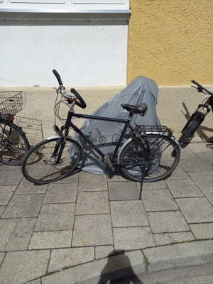 Trekkingbike Stevens Primera für großen Fahrer Bild 2