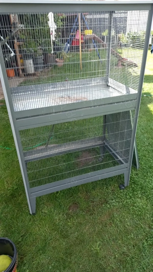 Vogelvoliere, Voliere 