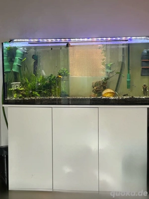 Aqarium 240L