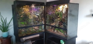 2 Terrarien Exoterra 90x90x45 