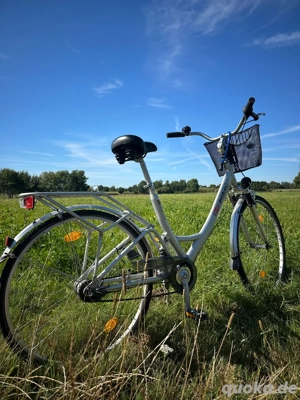 Fahrrad 28