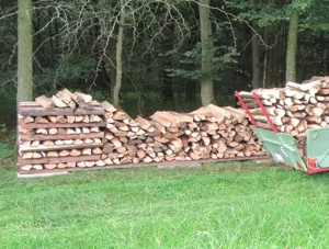 Brennholz Weichholz Kiefer