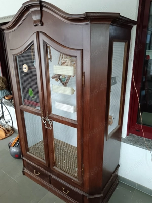 4 Wellensitiche inklusive Innen- und Aussenvoliere