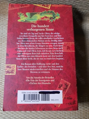 Amy Tan: Die hundert verborgenen Sinne. Roman. Bild 3
