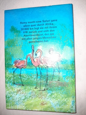 Romy Schurhammer: Guten Tag, Afrika! Band 2. Bild 2