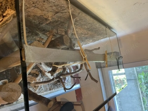 Terrarium 120 x 80 x 60