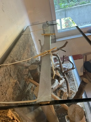 Terrarium 120 x 80 x 60