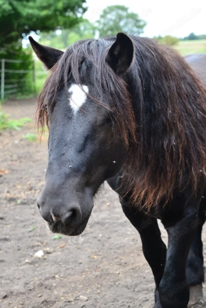 Kleiner Mann mit großem Ego sucht neuen Wirkungskreis