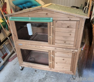 Meerschweinchenstall