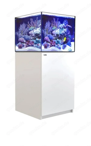 Meerwasseraquarium mit Zubehör 