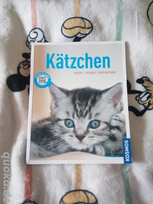   Buch: Kätzchen   