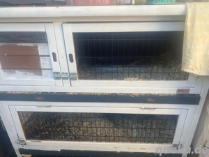 kaninchen,kaninchenhaus essen