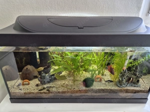 Aquarium Style Line 125