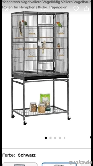 vogelkäfig 