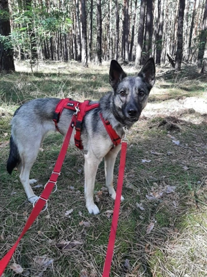 Süße Nyura sucht liebevolles Zuhause