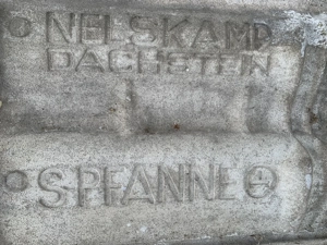 Nelskamp Dachstein S-Pfanne Bild 2