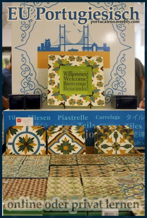  3 Months to Master Portuguese Holiday Offer! 