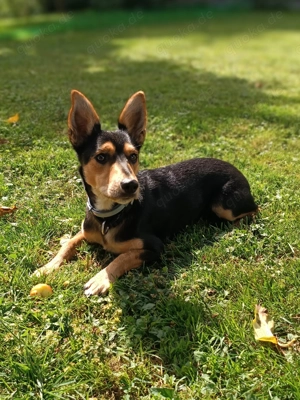 Jainer (Timmy) sucht seine Familie