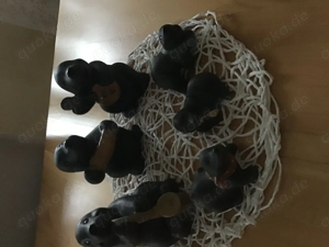  6 Maulwurf Figuren Keramik 