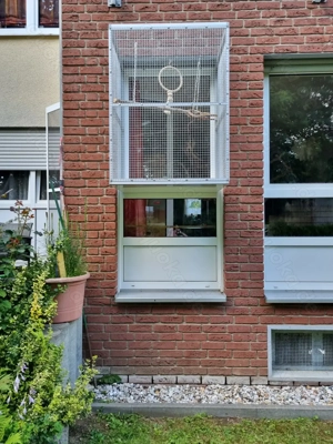 Fenstervoliere ohne in den Rahmen zu bohren 