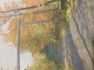 bebaubares Grundstück Waldgrundstück in Kanada zu verkaufen. Ostküste