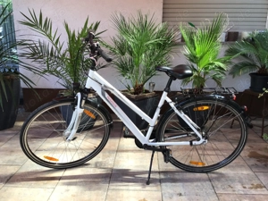 Damen Herrenrad Bild 2