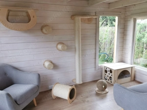 Die Katzenpension - Ein Zuhause auf Zeit Bild 4