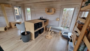 Die Katzenpension - Ein Zuhause auf Zeit Bild 3
