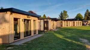 Die Katzenpension - Ein Zuhause auf Zeit