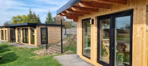 Die Katzenpension - Ein Zuhause auf Zeit Bild 6