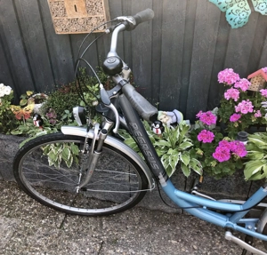 Pegasus Fahrrad 7 Gang  Damen