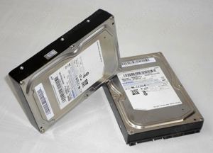 Desktop-Festplatten SAMSUNG SpinPoint HD501LJ 3,5-Zoll 500 GB (2 Stück)